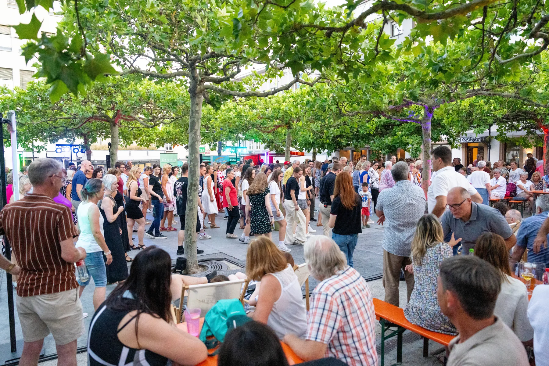 Dancing in the City 2026 - Hotel Ross — Foto 6