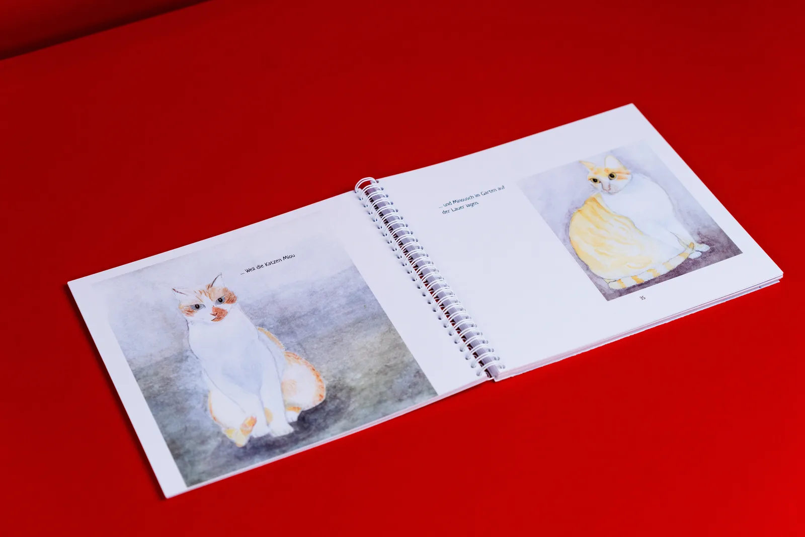 Rudolph Druck Produktbilder — Foto 32
