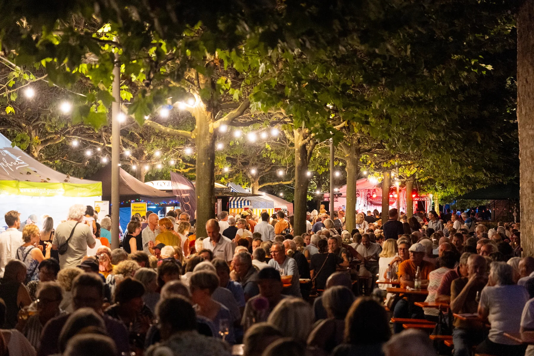 Stadtfest Schweinfurt 2024 — Foto 54