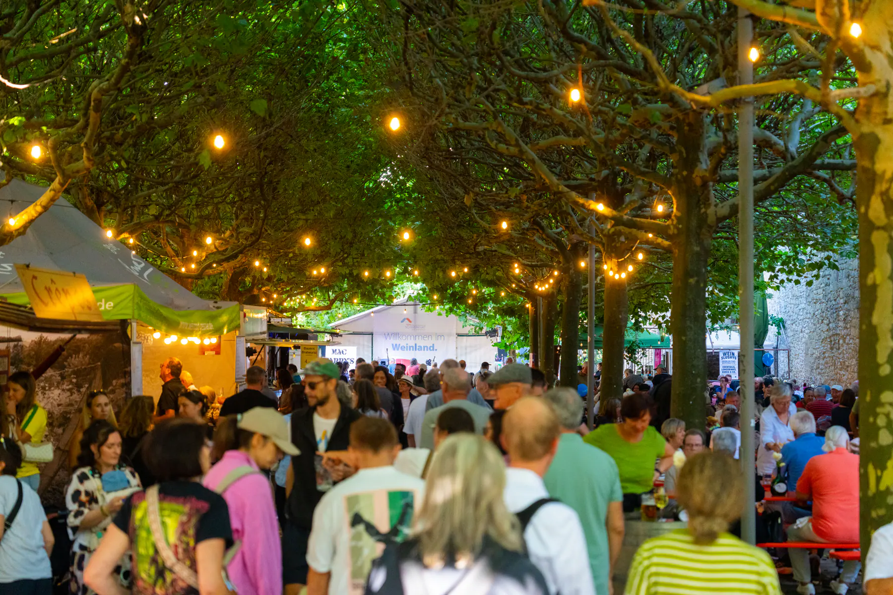 Stadtfest Schweinfurt 2025 — Foto 6