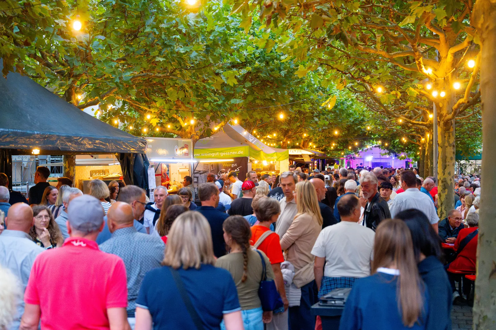Stadtfest Schweinfurt 2026 — Foto 52