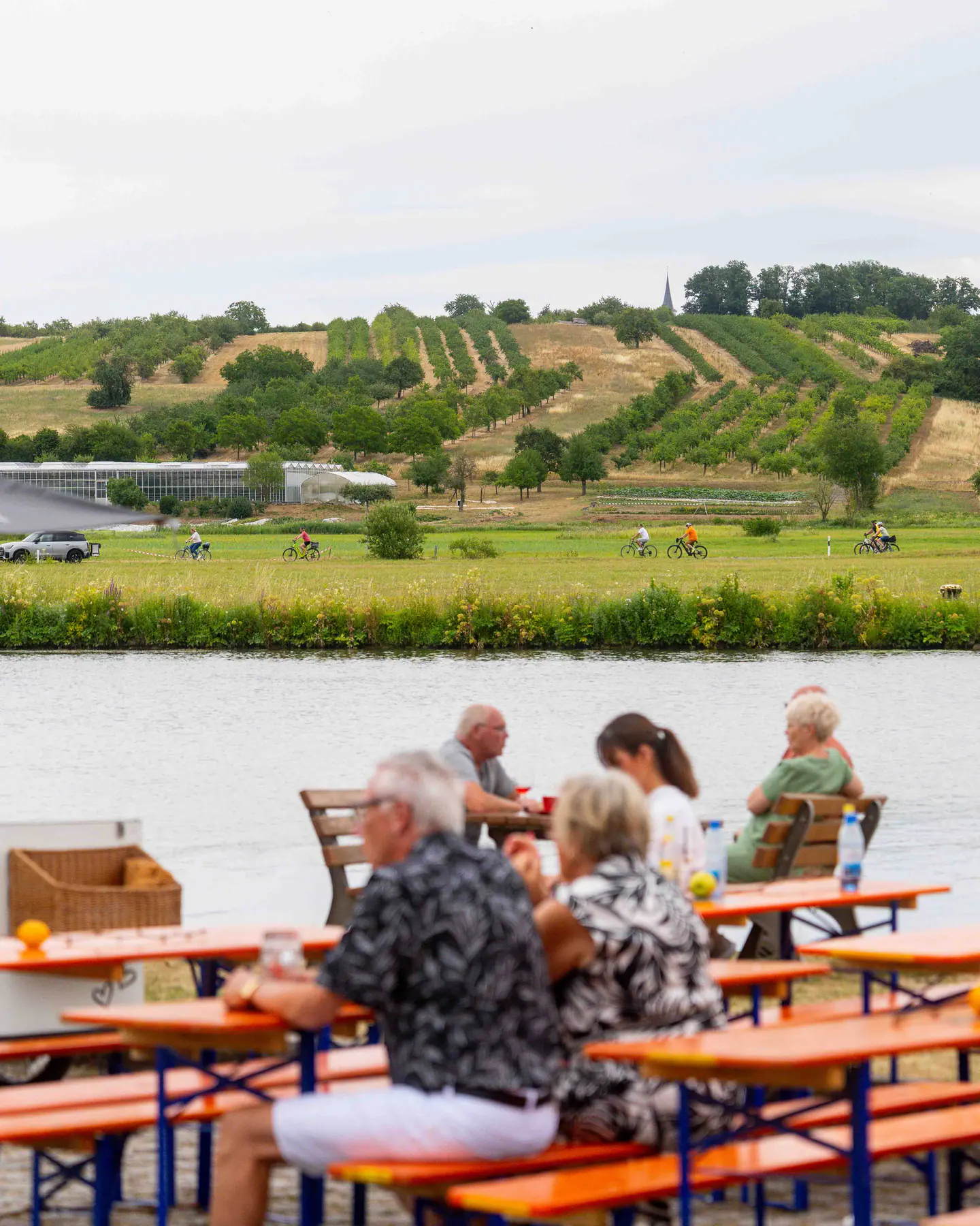 Wein am Main Wipfeld 2025 — Foto 96